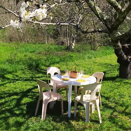 Hameau Paisible Ardouane, A Cote Voie Verte Riols