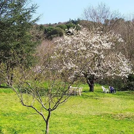 Hameau Paisible Ardouane, A Cote Voie Verte *