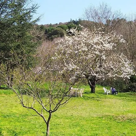 Hameau Paisible Ardouane, A Cote Voie Verte *