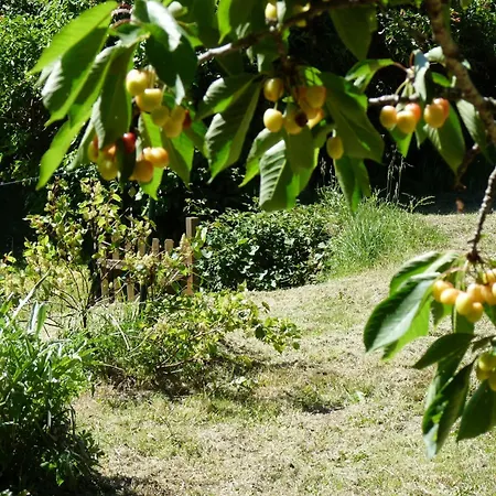 Hameau Paisible Ardouane, A Cote Voie Verte Feriehus Riols
