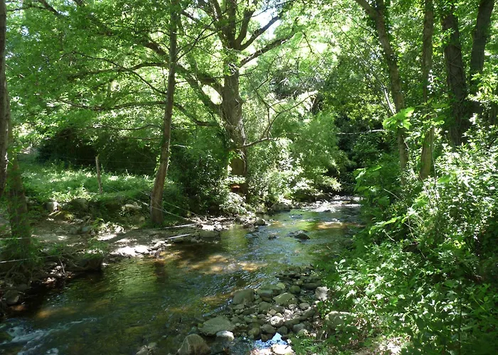 Hameau Paisible Ardouane, A Cote Voie Verte * Riols